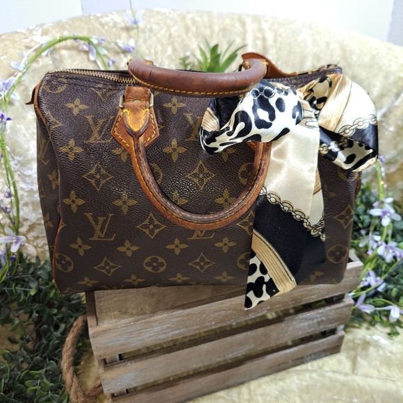 Louis Vuitton Handbags - COMING SOON AUTHENTIC LOUIS VUITTON SPEEDY 25